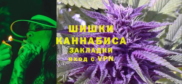 прущие грибы Карпинск