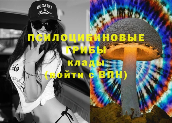 мяу мяу кристалл Алексин