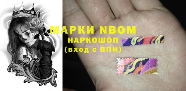 прущие грибы Алзамай