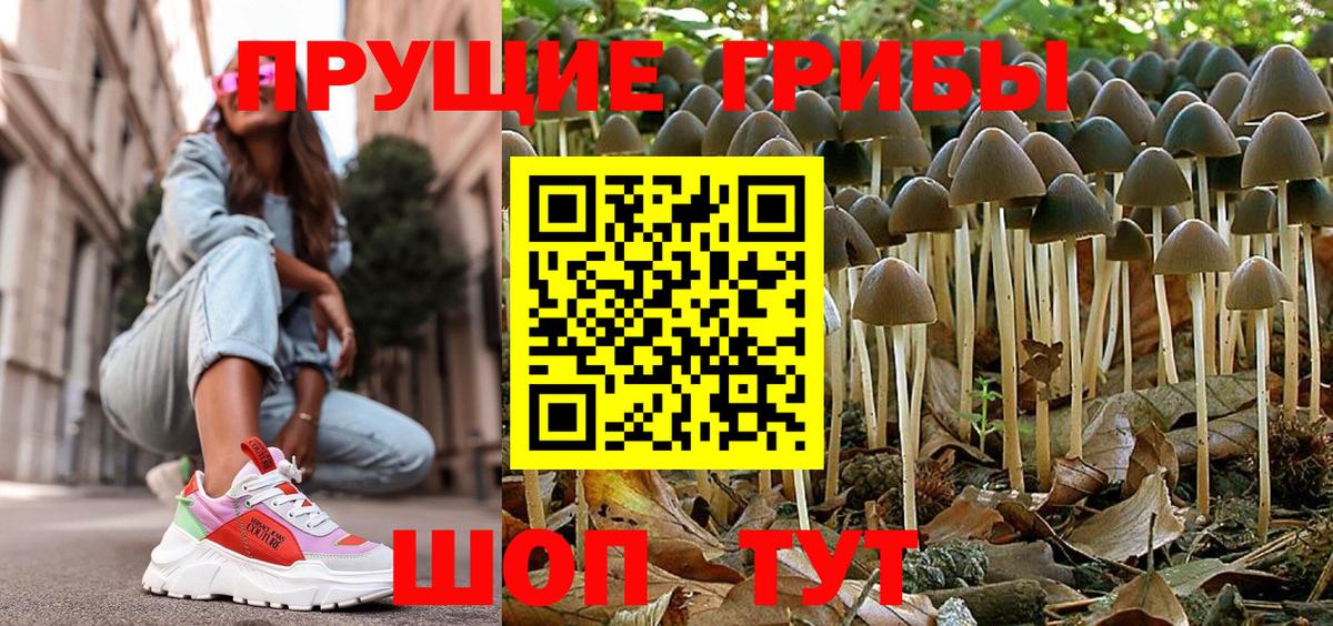Галлюциногенные грибы GOLDEN TEACHER  Вход с VPN  Самара  как найти   Галлюциногенные грибы мицелий 