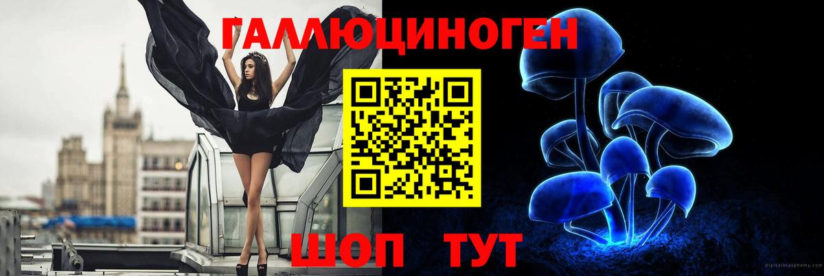 Псилоцибиновые грибы Psilocybine cubensis Самара